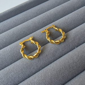 Brinco Argola Torcida Pequena