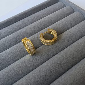 Brinco Argola Cravejada